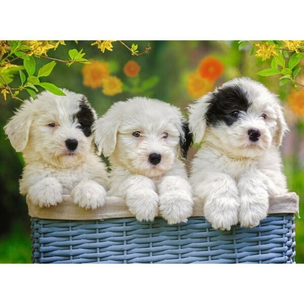 127658 Cuddly Puppies 200 parça XXL Ravensburger Puzzle