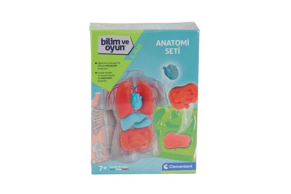 64742 Bilim ve Oyun - Anatomi Seti