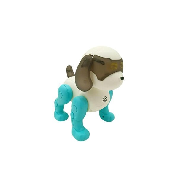 111-2 DANS EDEN ROBOT KÖPEK