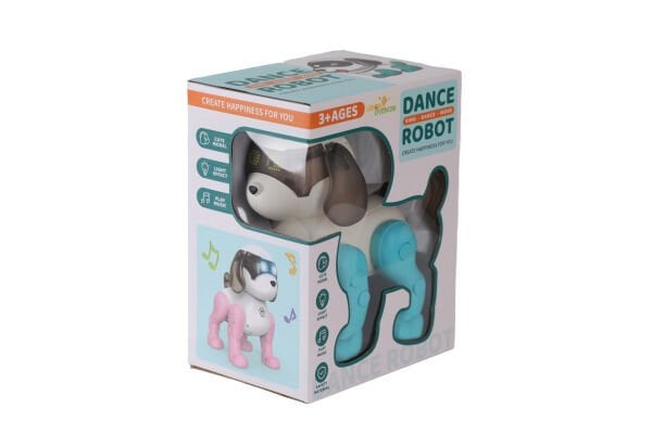 111-2 DANS EDEN ROBOT KÖPEK