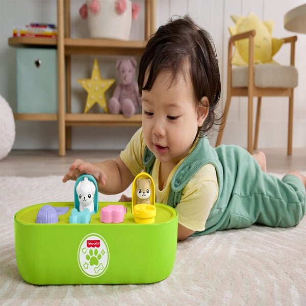 JDL66 Fisher-Price Sürpriz Hayvan Dostlarım