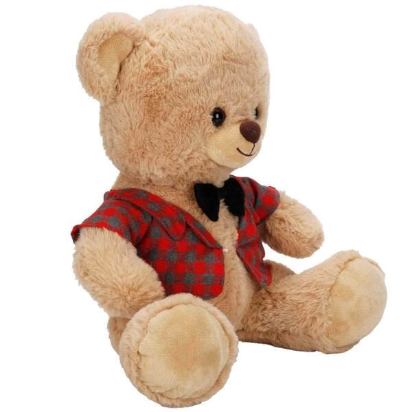 4810 SUN-JNH-PFF-SK PELUŞ AYI ELBİSELİ 32CM 2A