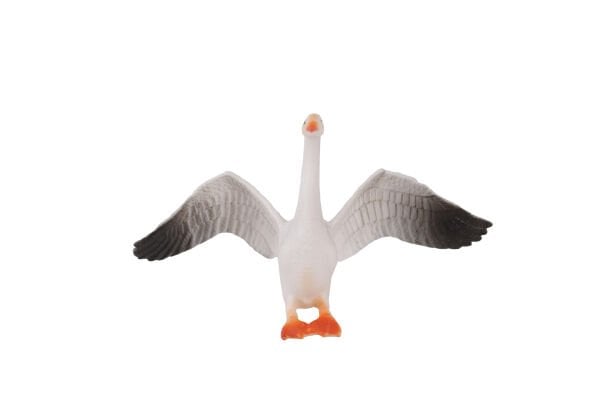 KZL-HY714-1 PVC DE KUŞLAR