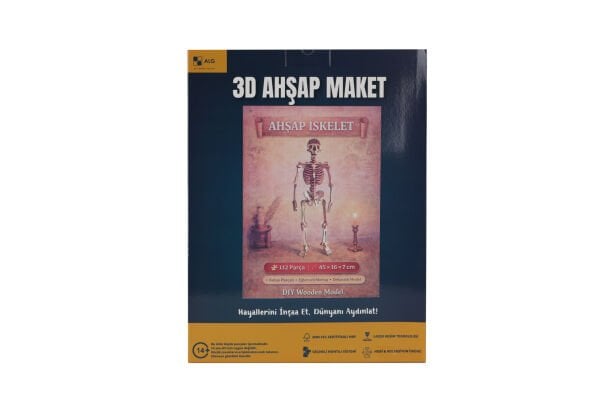 ALG-3098 CAMPLEX HUMAN SKELETON