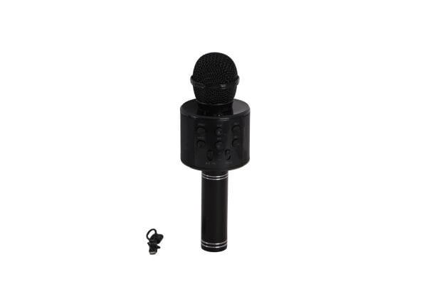 EMR-101 KUTULU KARAOKE MİKROFON