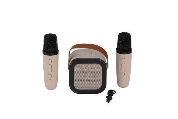 EMR-102 KUTULU 2Lİ KARAOKE MİKROFON