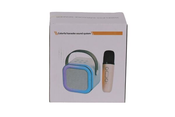 EMR-102 KUTULU 2Lİ KARAOKE MİKROFON