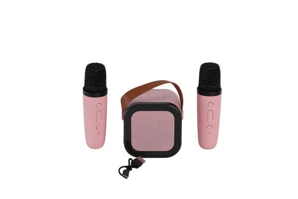 EMR-102 KUTULU 2Lİ KARAOKE MİKROFON