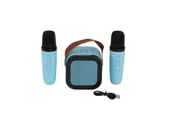 EMR-102 KUTULU 2Lİ KARAOKE MİKROFON