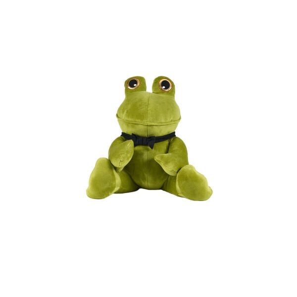 4721 GOLD GÖZLÜ KURBAĞA