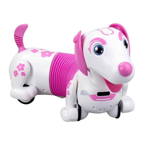 SIL 88740 Robo Dash D Asorti